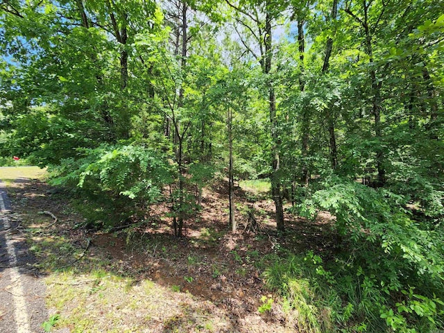 0 Timber Rd, Fairfield Bay, AR 72088
