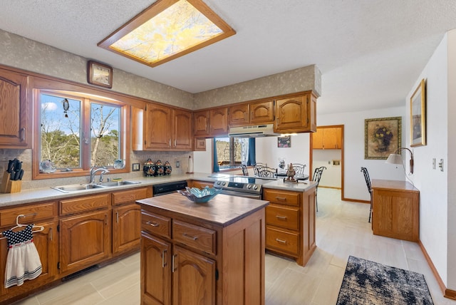 kitchen featuring stainless steel electric range oven, a healthy amount of sunlight, a sink, and under cabinet range hood