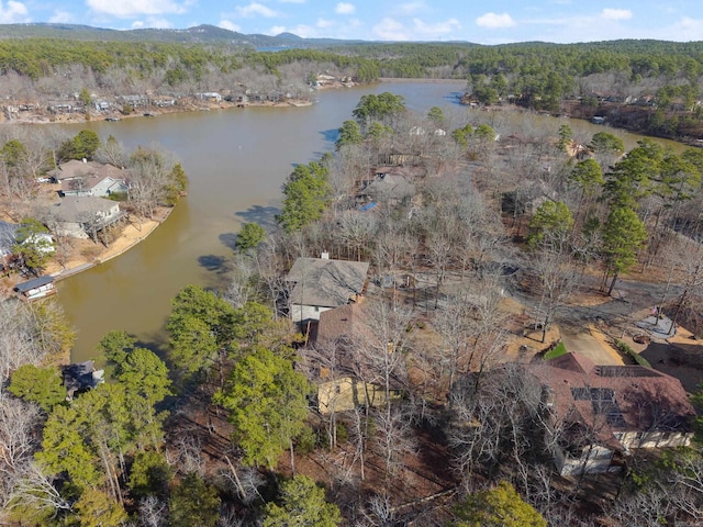 drone / aerial view featuring a water view and a forest view