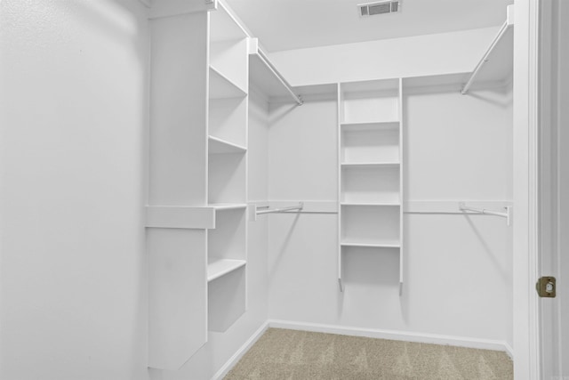 2540 Gladiola, Conway, AR 72034 - spacious closet with visible vents and carpet floors