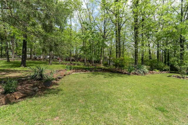 16 Valley Rd, Cabot, AR 72023 - view of yard