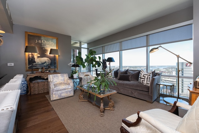 living room featuring wood finished floors and expansive windows