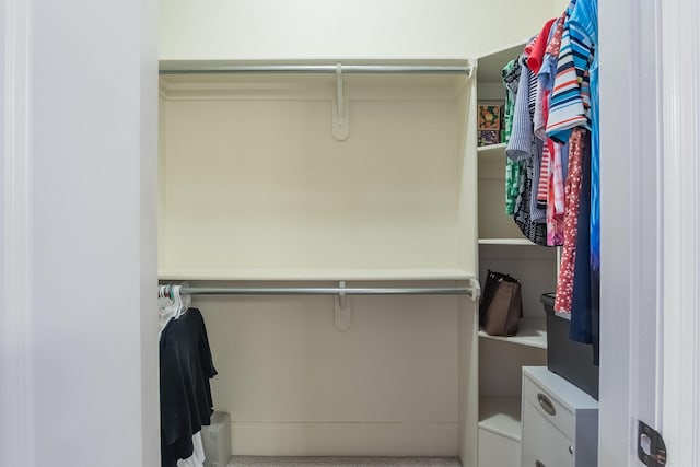 view of spacious closet