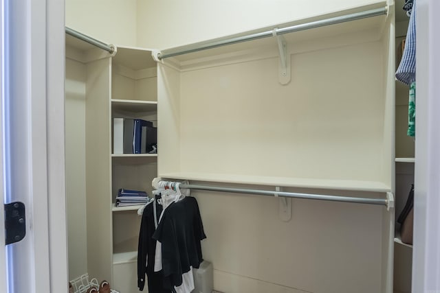 view of walk in closet