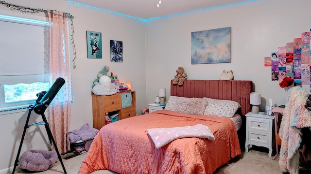 1012 Fairwater Cir, Horseshoe Bend, AR 72512 - view of carpeted bedroom
