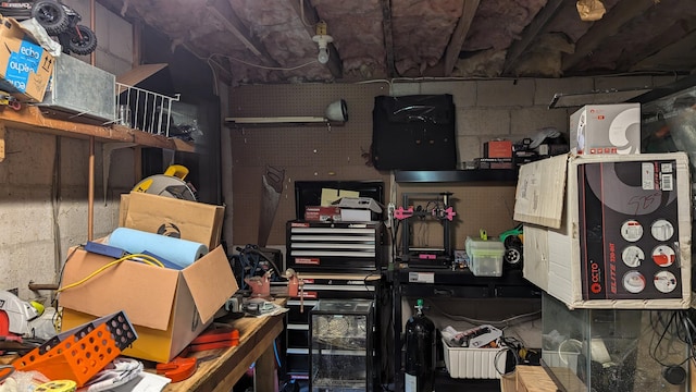 1012 Fairwater Cir, Horseshoe Bend, AR 72512 - view of storage area