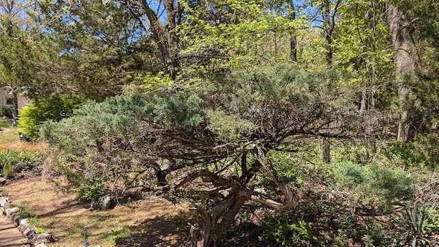 1012 Fairwater Cir, Horseshoe Bend, AR 72512 - view of nature with a forest view