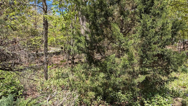 1012 Fairwater Cir, Horseshoe Bend, AR 72512 - view of local wilderness with a wooded view