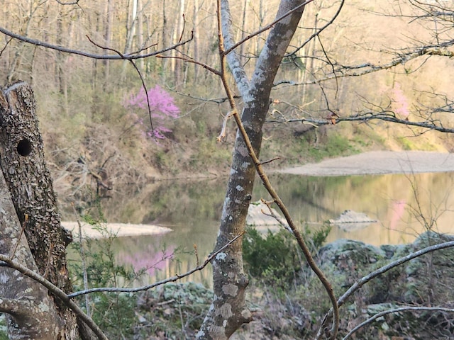 water view with a wooded view