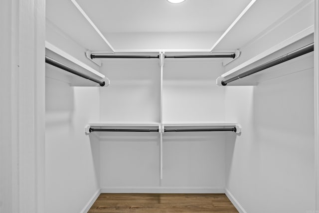 spacious closet featuring wood finished floors