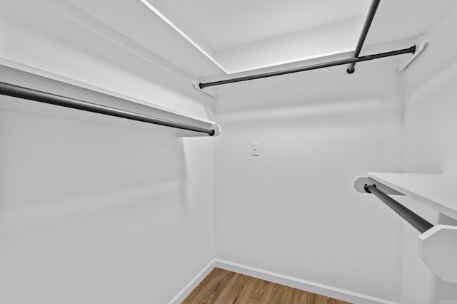 walk in closet featuring wood finished floors