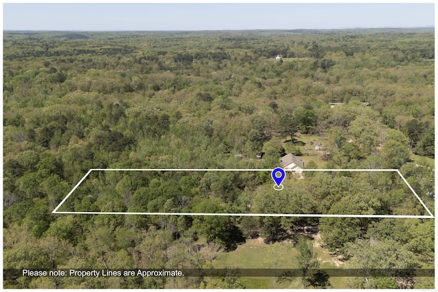 aerial view with a view of trees