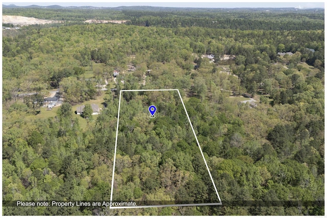 bird's eye view with a wooded view