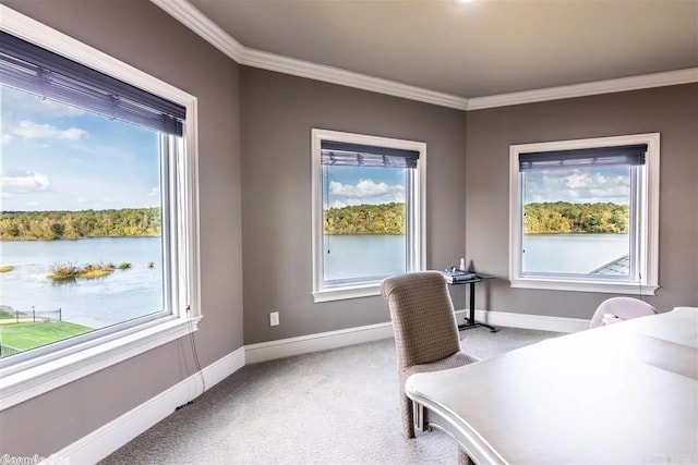 6550 Westminster, Benton, AR 72019 - carpeted home office with a healthy amount of sunlight and ornamental molding