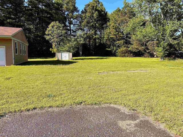 view of yard with a shed and an outdoor structure