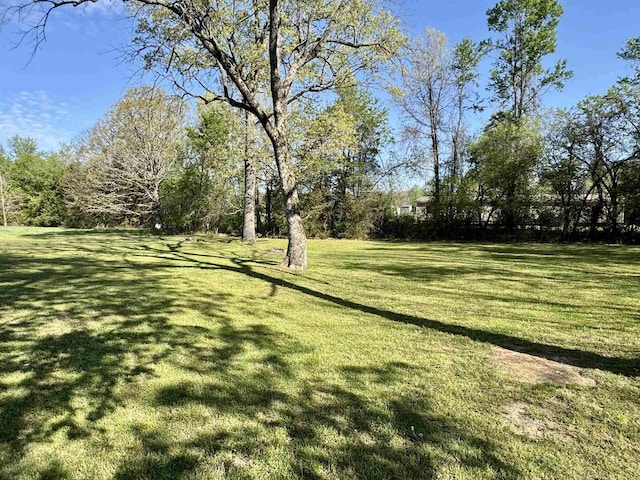 25 Heritage Ln, Melbourne, AR 72556 - view of yard