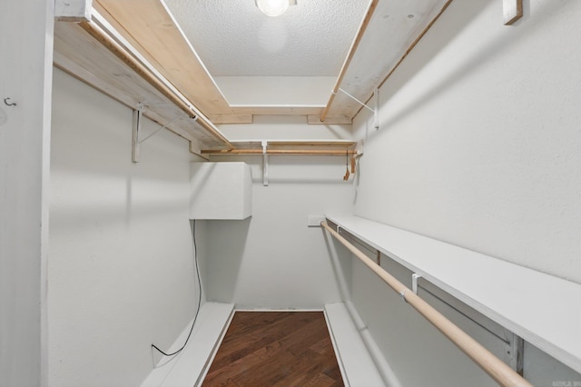 6 Narvaez Way, Hot Springs Village, AR 71909 - spacious closet featuring dark wood-style flooring