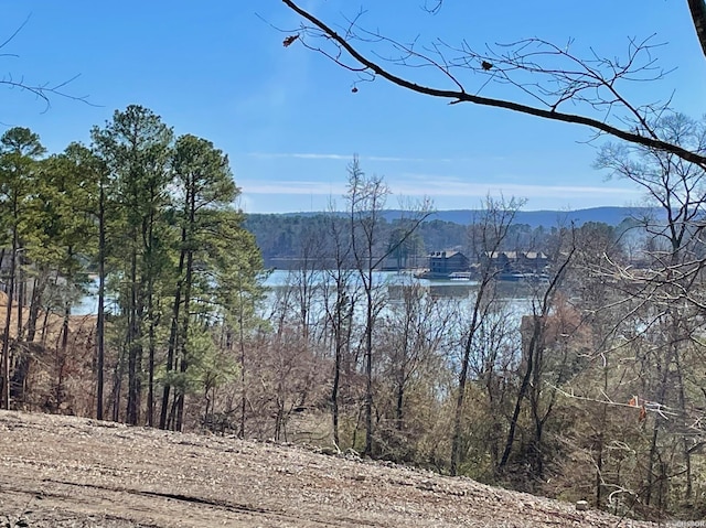 108-121 Calli Ln, Hot Springs, AR 71913 - water view