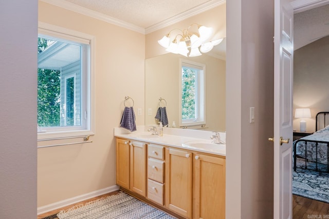 ensuite bathroom with wood finished floors, a sink, ornamental molding, and connected bathroom