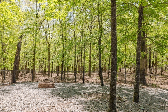 view of nature featuring a forest view
