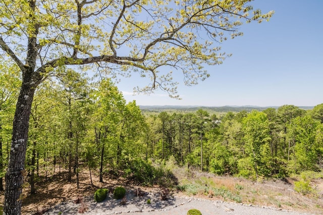 view of nature with a wooded view