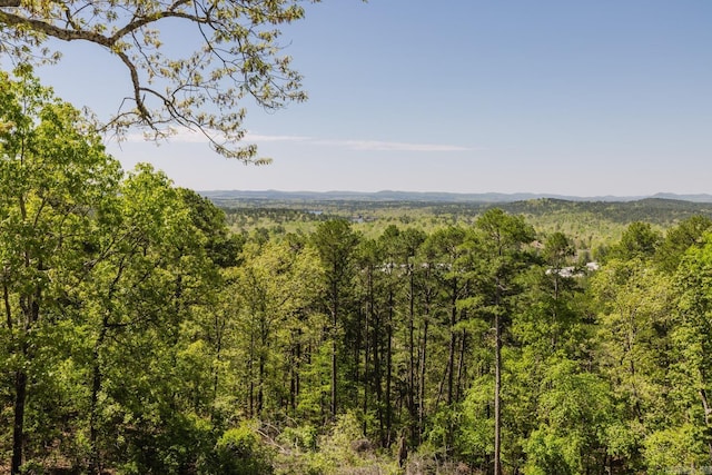 view of nature featuring a forest view