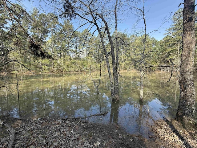 1314 Shoemaker Rd, Violet Hill, AR 72584
