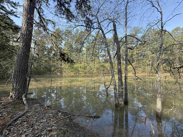 1314 Shoemaker Rd, Violet Hill, AR 72584