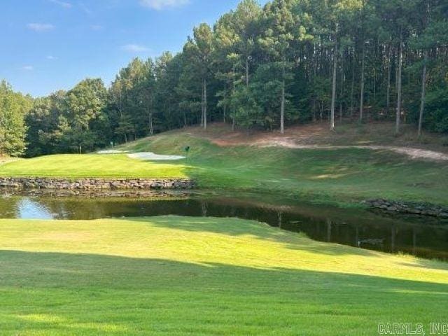 3 Atalaya Trce, Hot Springs Village, AR 71909