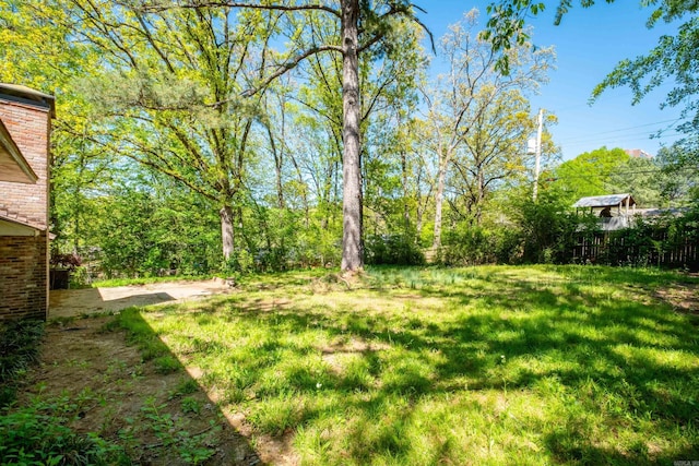 309 Del Rio Dr, Little Rock, AR 72205 - view of yard