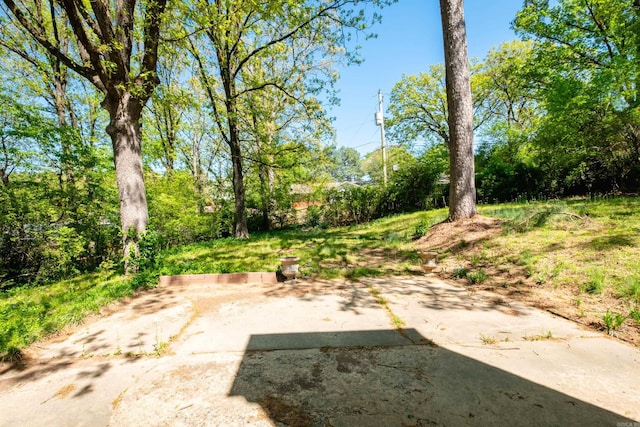 309 Del Rio Dr, Little Rock, AR 72205 - view of yard