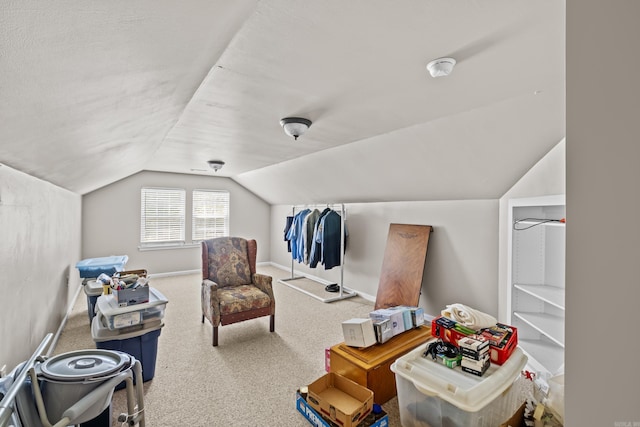 additional living space with vaulted ceiling, baseboards, and carpet floors