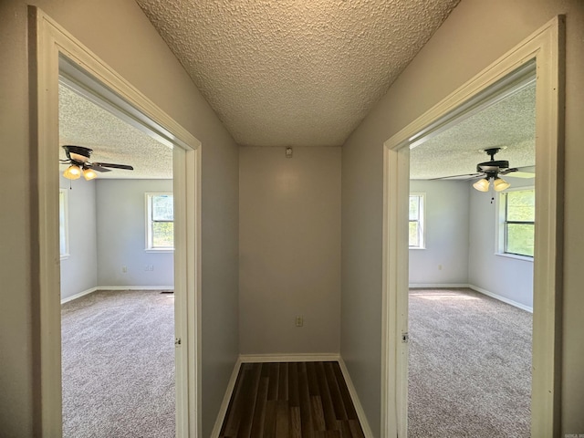 corridor featuring carpet, a textured ceiling, and a healthy amount of sunlight