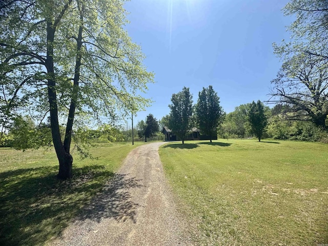 view of street featuring driveway