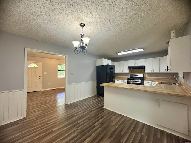 kitchen with a sink, stainless steel range with gas stovetop, a wainscoted wall, under cabinet range hood, and freestanding refrigerator