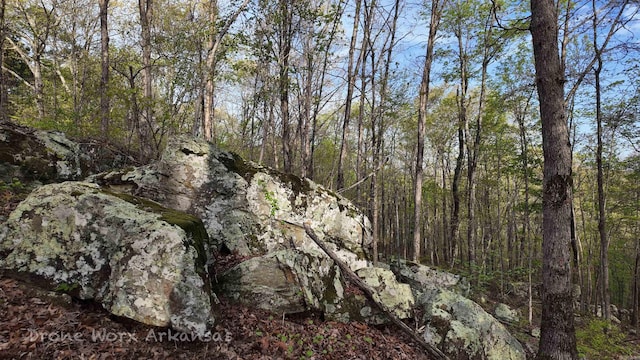 view of local wilderness with a view of trees