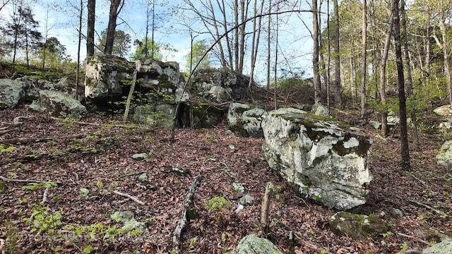 view of nature