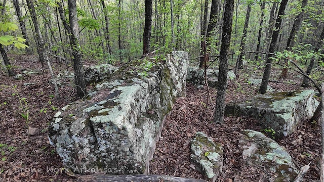 view of landscape featuring a view of trees