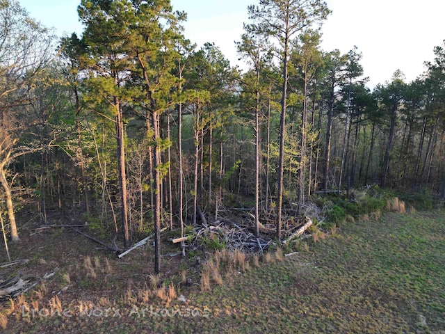 view of local wilderness with a forest view