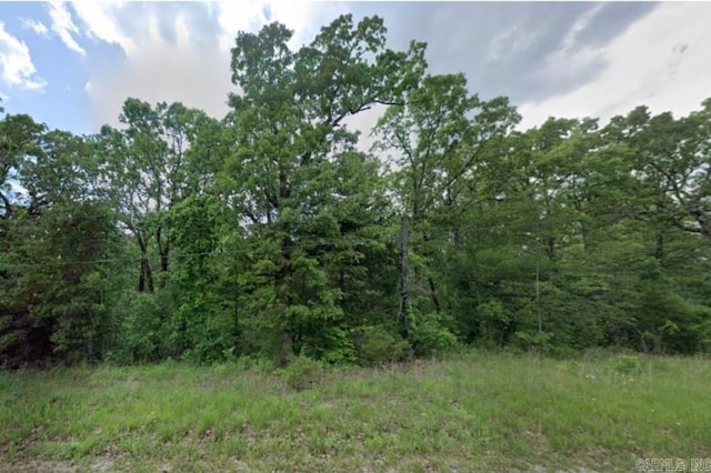 506 Catbird Dr, Horseshoe Bend, AR 72512