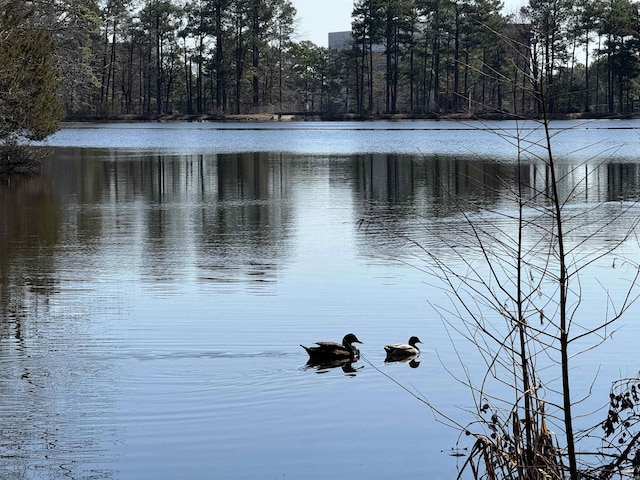 21 Belmont Dr, Little Rock, AR 72204 - property view of water with a view of trees