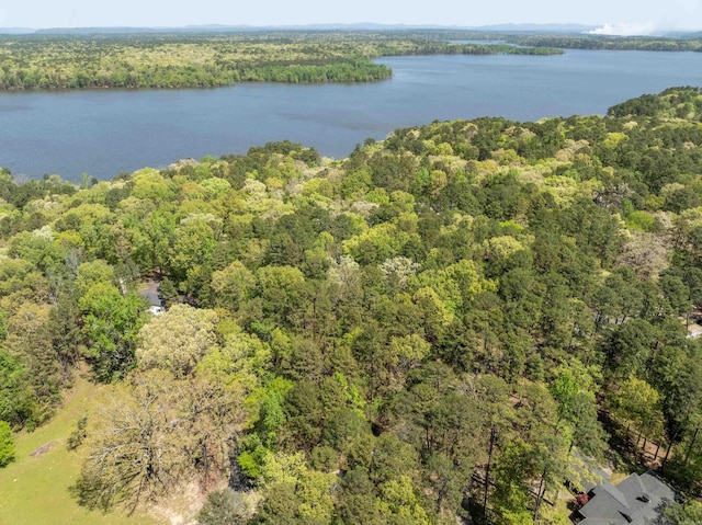 birds eye view of property with a view of trees and a water view