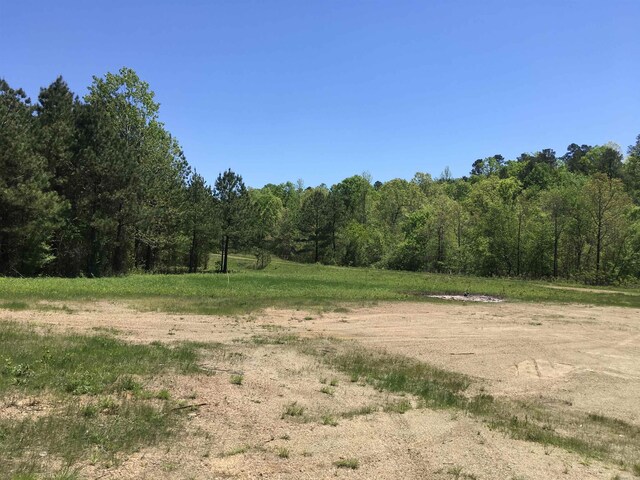 1892 Broken Bow Ln, Bismarck, AR 71929
