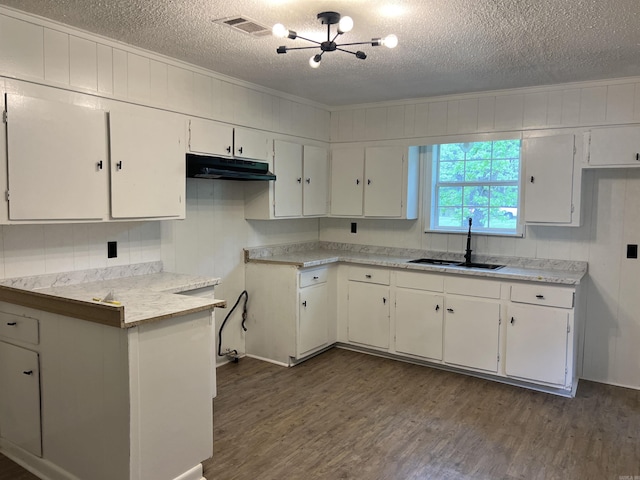 kitchen featuring dark wood finished floors, under cabinet range hood, an inviting chandelier, a sink, and a textured ceiling