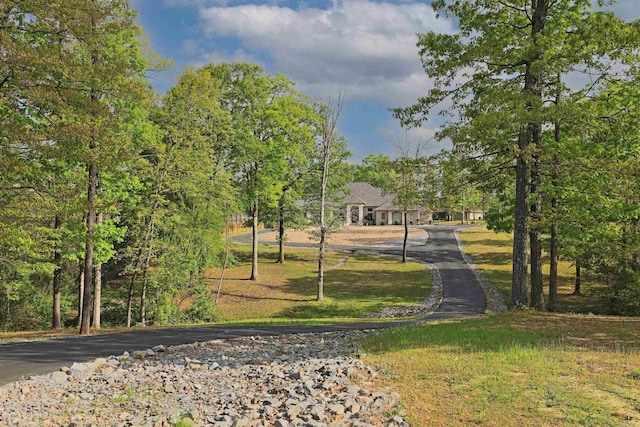 2780 Shoemaker Rd, Sheridan, AR 72150 - view of community featuring aphalt driveway
