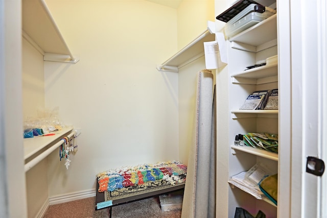 2780 Shoemaker Rd, Sheridan, AR 72150 - walk in closet featuring carpet floors