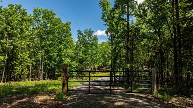 31 Tracy Ln, Greenbrier, AR 72058