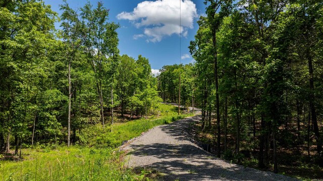 31 Tracy Ln, Greenbrier, AR 72058