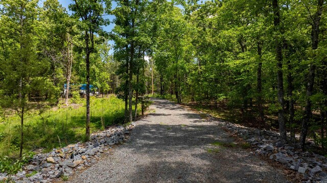 31 Tracy Ln, Greenbrier, AR 72058