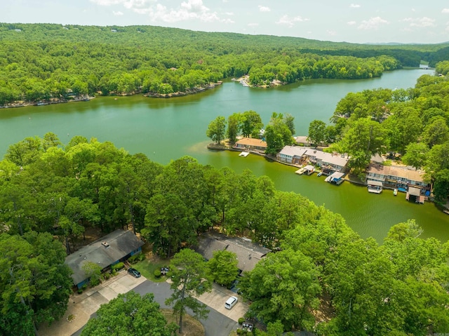 birds eye view of property featuring a forest view and a water view